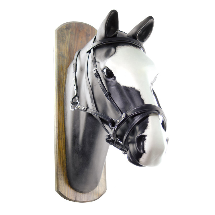 Briglia Senza Morso Horse Ball con Redini Umbria Equitazione