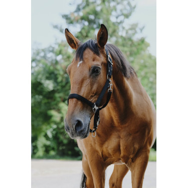 Capezzina in nylon Equithème Protector Capezzina in nylon Equithème Protector