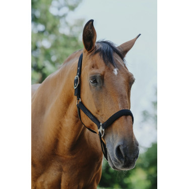 Capezzina in nylon Equithème Protector Capezzina in nylon Equithème Protector