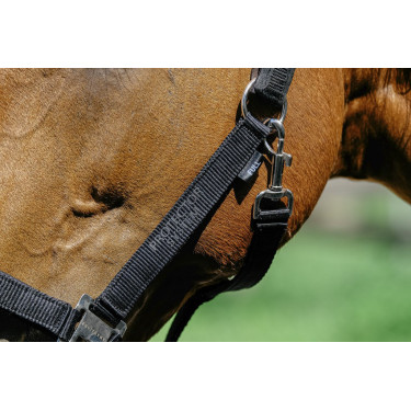 Capezzina in nylon Equithème Protector Capezzina in nylon Equithème Protector