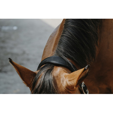 Capezzina in nylon Equithème Protector Capezzina in nylon Equithème Protector