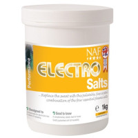 Elettroliti Salini NAF