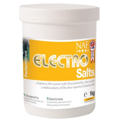 Elettroliti Salini NAF