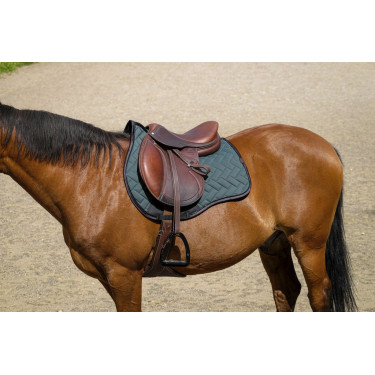 Sottosella Equithème Impulsion Sottosella Equithème Impulsion