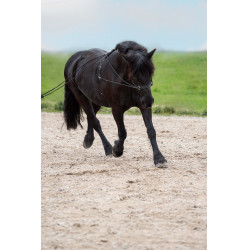 Lunghe redini Imperial Riding Free Ride fine Lunghe redini Imperial Riding Free Ride fine