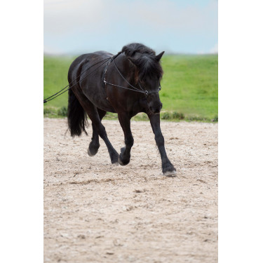 Lunghe redini Imperial Riding Free Ride fine Lunghe redini Imperial Riding Free Ride fine