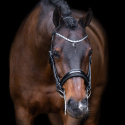 Briglia Impérial Riding Olympia
