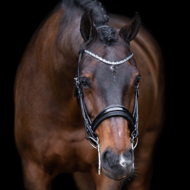 Briglia Impérial Riding Olympia