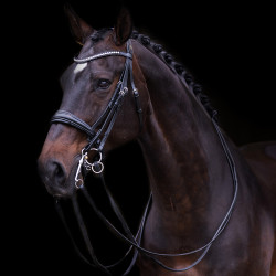 Briglia Impérial Riding Fria Nero