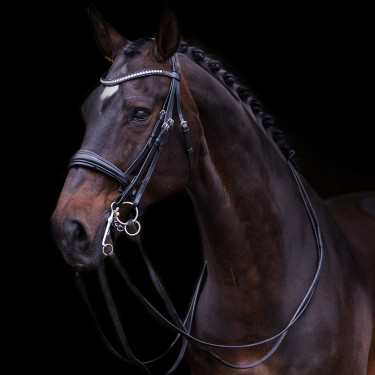 Briglia Impérial Riding Fria Nero