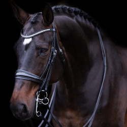 Briglia Impérial Riding Fria Nero
