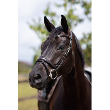 Filet bridon Nature Made Leisure Horze Marrone espresso