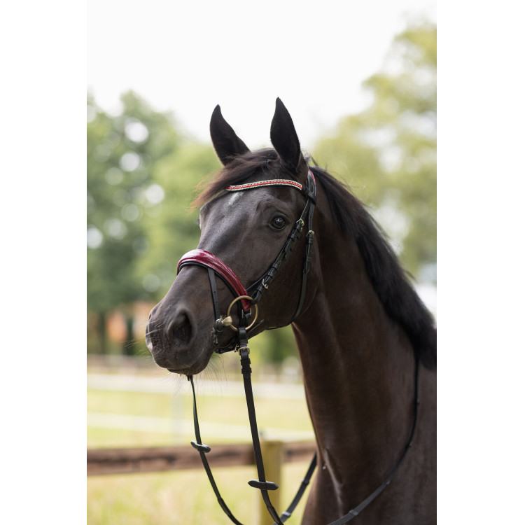 Filet bridon Physical Sophistication Horze Filet bridon Physical Sophistication Horze