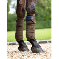 Fasce da polo pony LeMieux Alpina Marrone