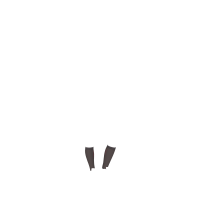 Chaussettes de concours My LeMieux 2 paires Anthracite Chaussettes de concours My LeMieux 2 paires Anthracite