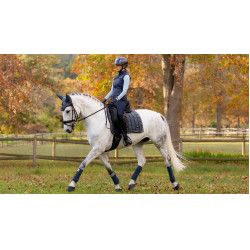Sottosella LeMieux Loire Classic Dressage Square Petrolio Blu