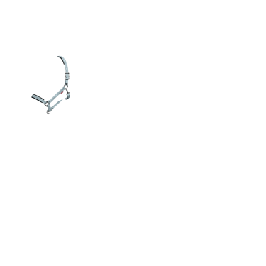 Capezzina LeMieux Logo Capezzina LeMieux Logo