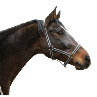 Capezza Hippo Covalliero Nero / argento