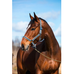 Capezza Hippo Covalliero Nero / argento