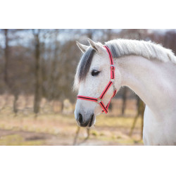 Capezza Hippo Covalliero Rosa / marrone