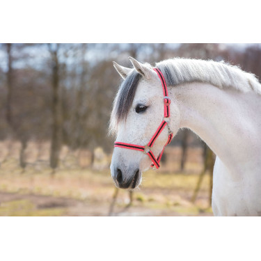 Capezza Hippo Covalliero Rosa / marrone