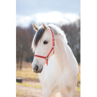 Capezza Hippo Covalliero Rosa / marrone