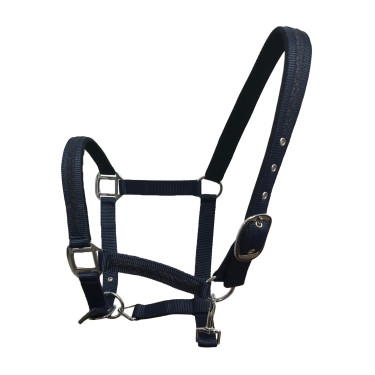 Set di cavezza e lunghina Flags & Cup Atamik Nero