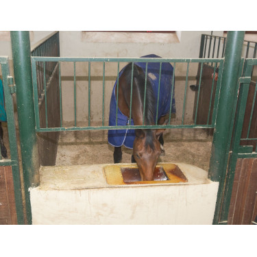 Telecamera IPCam 2.0 HD