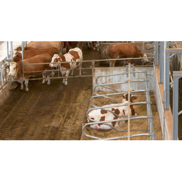 Telecamera IPCam 2.0 HD