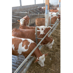 Telecamera SmartCam Telecamera SmartCam