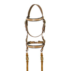 Sottosella Lakota sarda Sottosella Lakota sarda