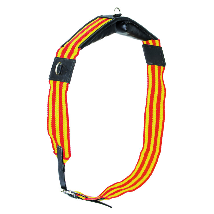Fascia da allenamento in cinghia Umbria Equitazione