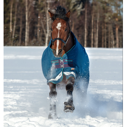 Coperta Horseware Rhino Original Vari-Layer 250g Marina / grigio