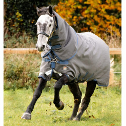 Coperta Horseware Rhino Hexstop Plus Vari-Layer Turnout 250g Coperta Horseware Rhino Hexstop Plus Vari-Layer Turnout 250g