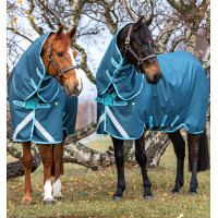 Coperta Horseware Amigo AmEco 12 Plus 250g Blu scuro / blu cielo / blu scuro Coperta Horseware Amigo AmEco 12 Plus 250g Blu scuro / blu cielo / blu scuro