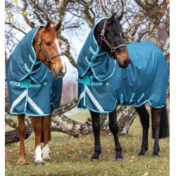 Coperta Horseware Amigo AmEco 12 Plus 250g Blu scuro / blu cielo / blu scuro Coperta Horseware Amigo AmEco 12 Plus 250g Blu scuro / blu cielo / blu scuro