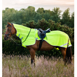 Copricrini Horseware anti-mosche Fluo Amigo Flyrider 0g Giallo Fluo