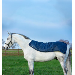 Coperta da esterno Horseware Rambo® Summer 0g con disco e fodera 100g Marina / grigio Blu Coperta da esterno Horseware Rambo® Summer 0g con disco e fodera 100g Marina / grigio Blu