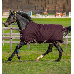 Coperta Horseware Amigo Hero Ripstop Lite 0g Fico Viola