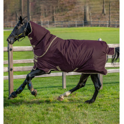 Coperta Horseware Amigo Hero Ripstop Plus 100g Fico / blu navy Viola Coperta Horseware Amigo Hero Ripstop Plus 100g Fico / blu navy Viola