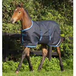 Couverture poulain Horseware Amigo Ripstop Foal 200g Marine / bleu électrique Couverture poulain Horseware Amigo Ripstop Foal 200g Marine / bleu électrique