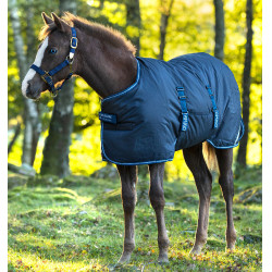 Couverture poulain Horseware Amigo Ripstop Foal 200g Marine / bleu électrique Couverture poulain Horseware Amigo Ripstop Foal 200g Marine / bleu électrique