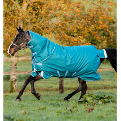 Coperta Horseware Amigo® Bravo 12 Plus 400g 1200D Verde / turchese