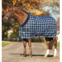Coperta da scuderia Horseware Rhino Original Vari-Layer 450g Marina a quadri / blu petrolio Blu marino Coperta da scuderia Horseware Rhino Original Vari-Layer 450g Marina a quadri / blu petrolio Blu marino
