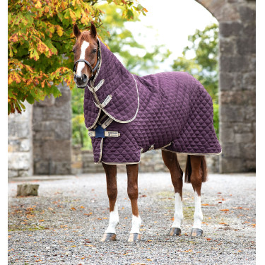 Coperta da box Horseware Amigo Plus Disco 200g Coperta da box Horseware Amigo Plus Disco 200g