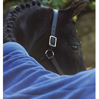 Coperta asciugante Horseware Rambo Cosy in pile Marino / beige / blu