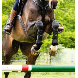 Ghette Horseware Adagio Nero / giallo Ghette Horseware Adagio Nero / giallo