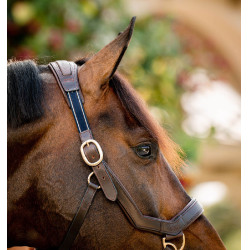 Capestro Rambo Micklem Horseware Marrone