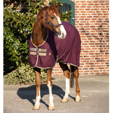 Camicia da box Horseware Amigo Delphinium 0g Camicia da box Horseware Amigo Delphinium 0g