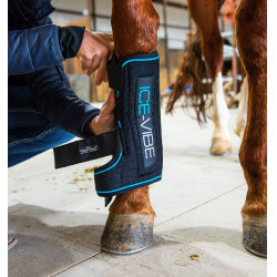 Ghette massaggianti Horseware Ice-Vibe Ghette massaggianti Horseware Ice-Vibe